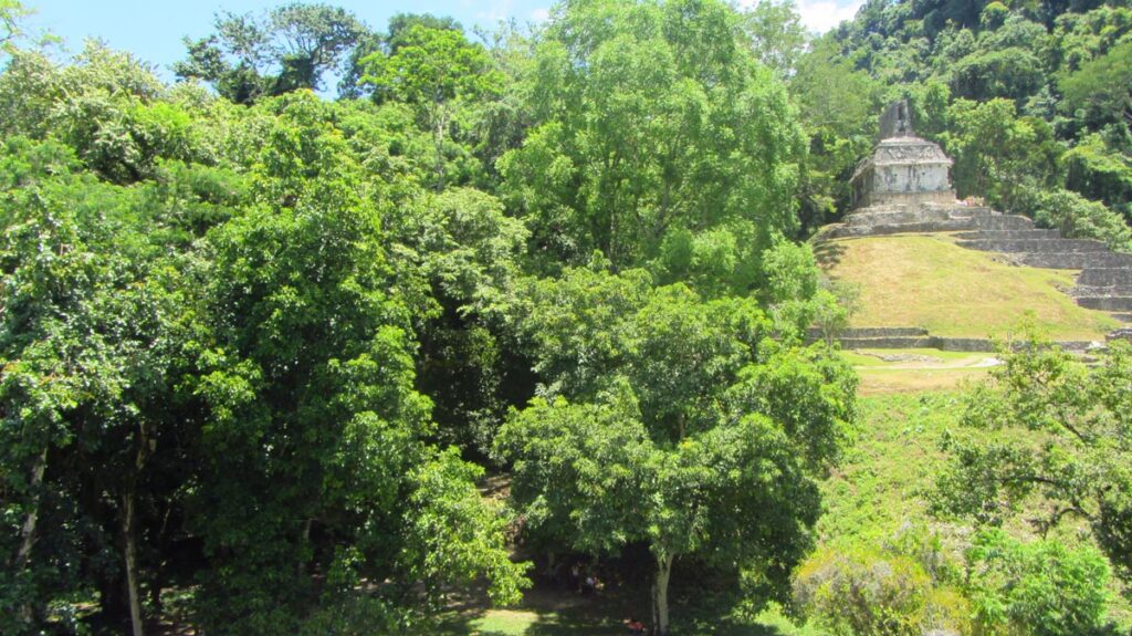 Mexico Chiapas Palenque Maya Ruins