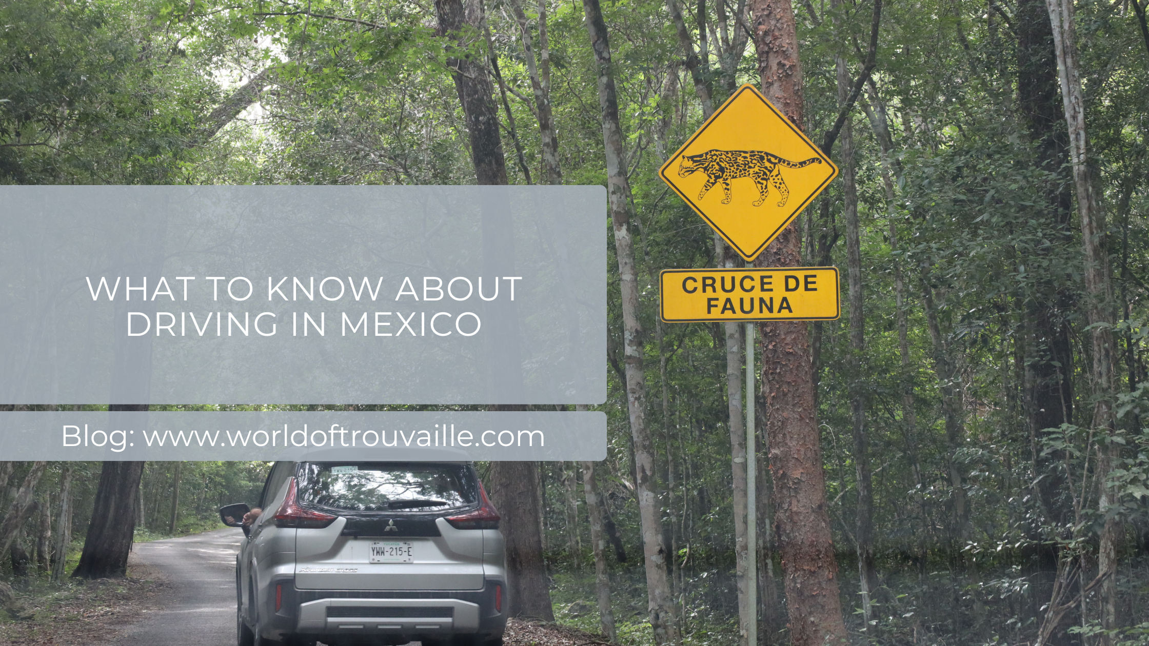 Driving in Mexico guide